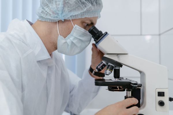 Welche neuen Entwicklungen gibt es im Bereich der Biotechnologie?